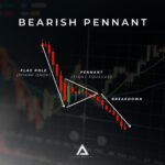 what is a bear pennant